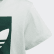 Camiseta Trefoil Vapour Green / Collegiate Green / White ED7794 Camiseta Trefoil Vapour Green / Collegiate Green / White ED7794