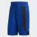 Creator 365 Shorts Collegiate Royal ED8414 Creator 365 Shorts Collegiate Royal ED8414