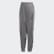 Large Logo Trainingshose Charcoal Solid Grey / True Pink FS7239 Large Logo Trainingshose Charcoal Solid Grey / True Pink FS7239