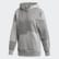 Daniëlle Cathari Hoodie Medium Grey Heather FN2764 Daniëlle Cathari Hoodie Medium Grey Heather FN2764