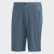 Pantalón corto Terrex LiteFlex Legacy Blue FJ9363 Pantalón corto Terrex LiteFlex Legacy Blue FJ9363