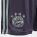 Short Away FC Bayern Trace Purple / Ash Green CF5413 Short Away FC Bayern Trace Purple / Ash Green CF5413