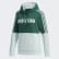 Essentials Colorblock Hooded Sweatshirt Collegiate Green / Green Tint / White FL9279 Essentials Colorblock Hooded Sweatshirt Collegiate Green / Green Tint / White FL9279