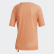 Terrex Hike Tee Amber Tint FI2412 Terrex Hike Tee Amber Tint FI2412