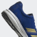 Tenis Adizero Boston 8 Collegiate Royal / Gold Metallic / Cloud White G28859 Tenis Adizero Boston 8 Collegiate Royal / Gold Metallic / Cloud White G28859