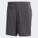 TERREX Trail Shorts Grey Five CZ0148 TERREX Trail Shorts Grey Five CZ0148