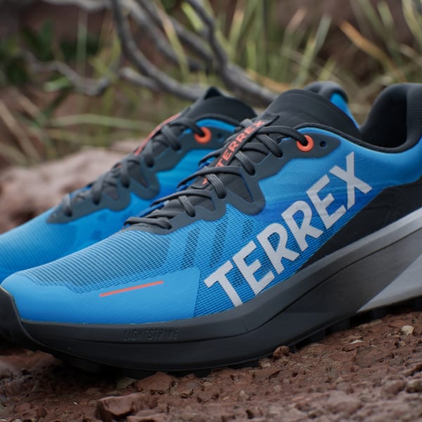 Adidas terrex agravic blue hotsell
