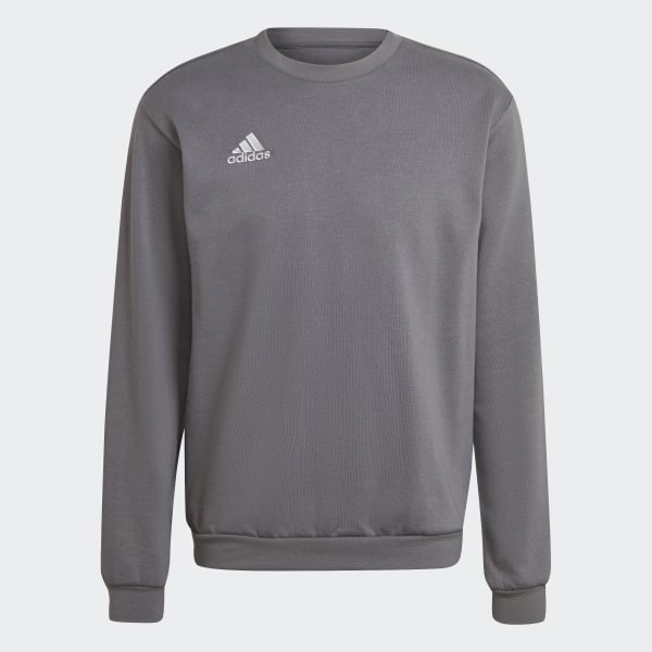 Gris Sudadera Entrada 22