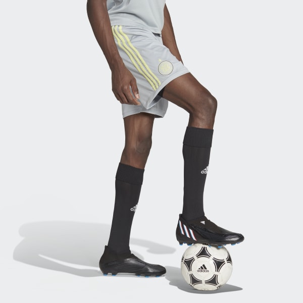 Grau Celtic FC 22/23 Ausweichshorts