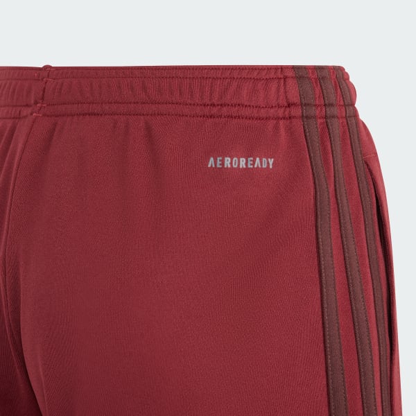 Bordeaux FC Bayern München 23/24 Derde Short Kids