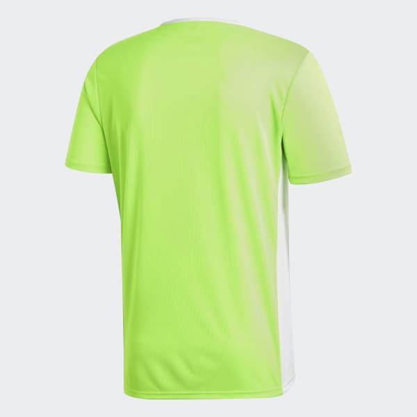 Groen Entrada18 Voetbalshirt