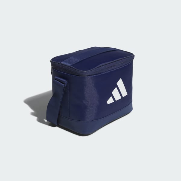 Blue Cooler Bag