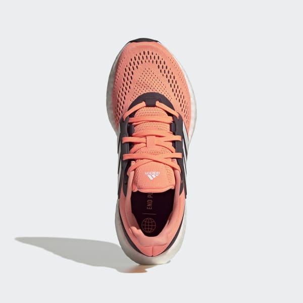 Pureboost 22