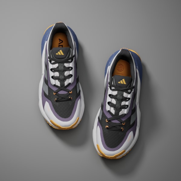 Grijs Adistar COLD.RDY Schoenen