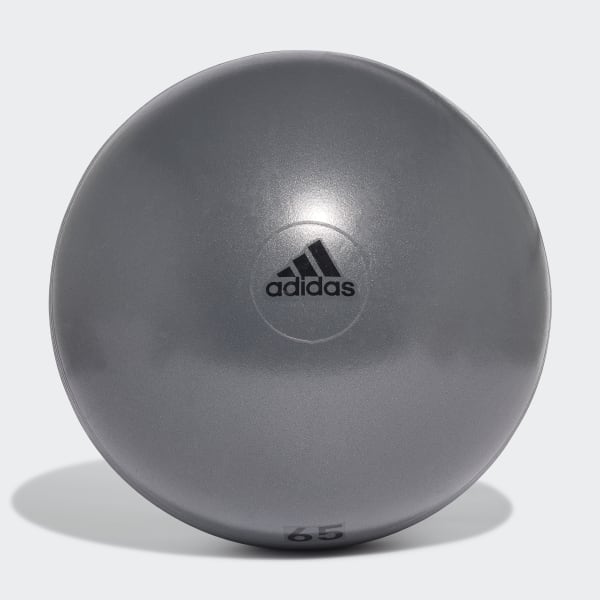 Grey Gym Ball NQM98