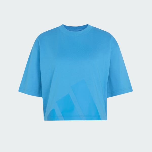 Azul Camiseta Boyfriend Essentials Big Logo