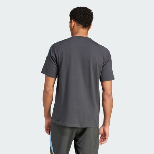 Gris Remera Argentina 24