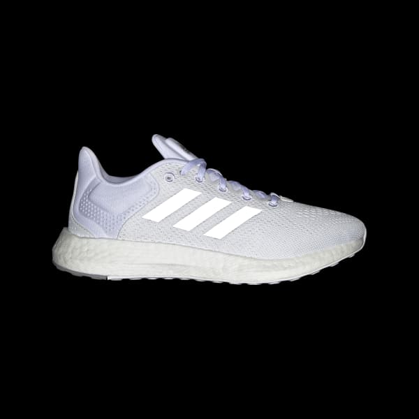 Pureboost 21