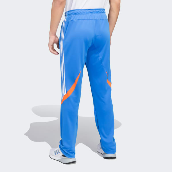 Blue IND CRI ODI PNT