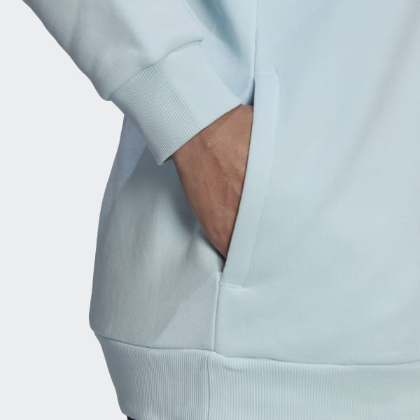 Bleu Sweat-shirt à capuche Essentials Logo Fleece (Grandes tailles) IXV15