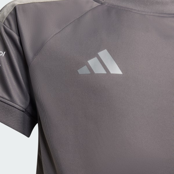 Gris CAMISETA PILOTO AUDI REVOLUT F1 TEAM VERSIÓN FAN