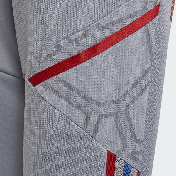Gris Pantalon d'entraînement Olympique Lyonnais Tiro 21