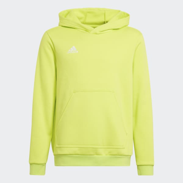 Estrella mezcla superstición Sudadera con capucha Entrada 22 - Amarillo adidas | adidas España