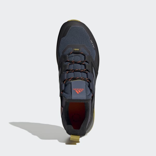 Azul Sapatilhas de Caminhada COLD.RDY Trailmaker TERREX