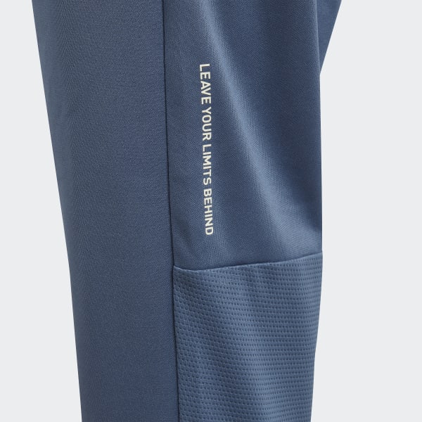 Bleu Pantalon d'entraînement AEROREADY HIIT