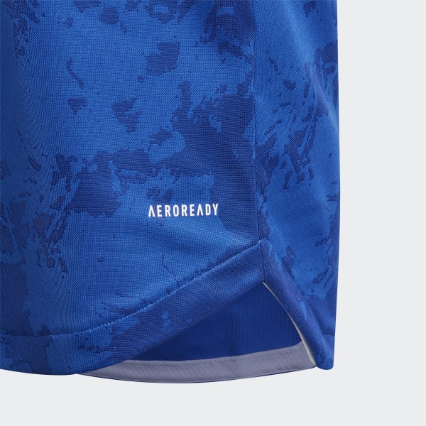 Azul Camiseta primera equipación Bosnia y Herzegovina 20/21