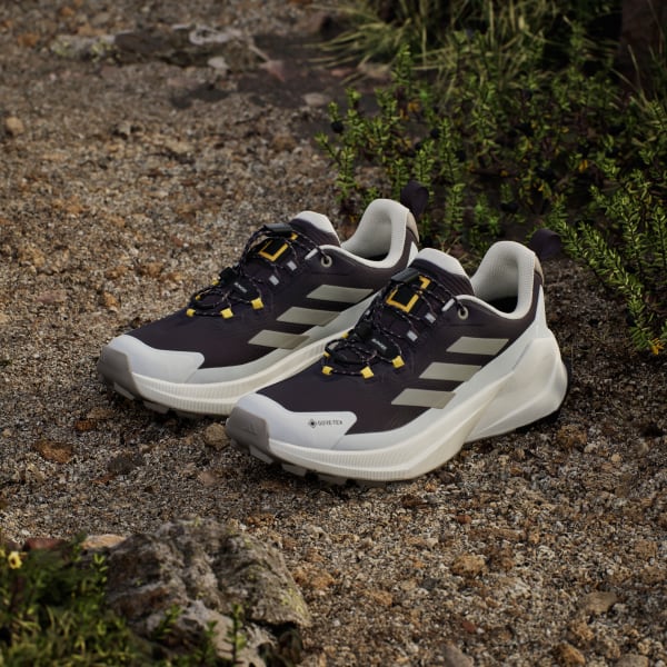 Adidas adidas National Geographic TERREX Trailmaker 2 GORE-TEX Hiking Shoes HOW TO BUY