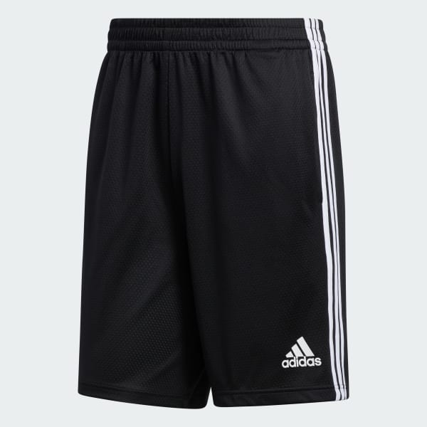 Schwarz adidas 3-Streifen AEROREADY Knit Shorts