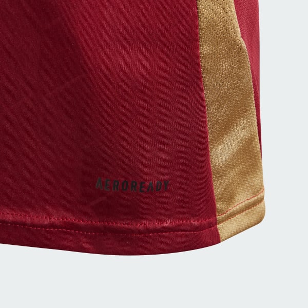 Burgundy Belgien 24-hjemmebanetrøje