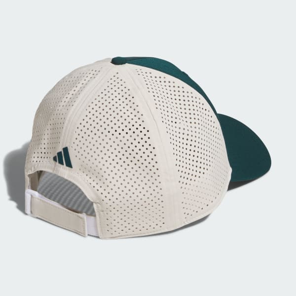 Green 그래픽 3 캡