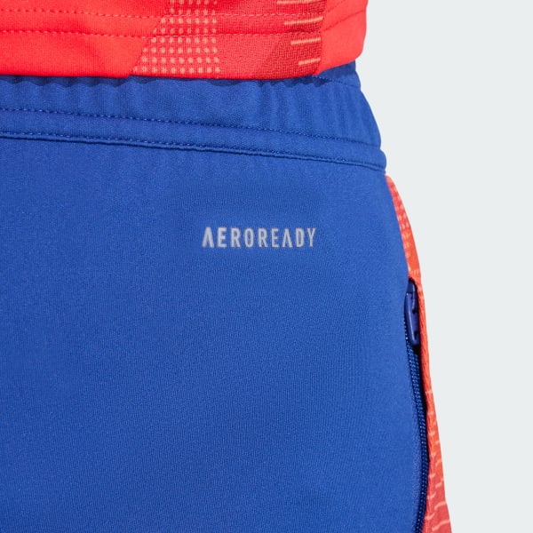 アディダス スペイン代表 ティロ 24 コンペティション トレーニング