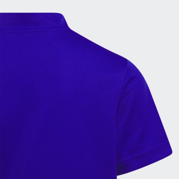 Blue Sport Collar Polo Shirt