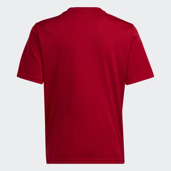 Vermelho Camisola Team Icon 23