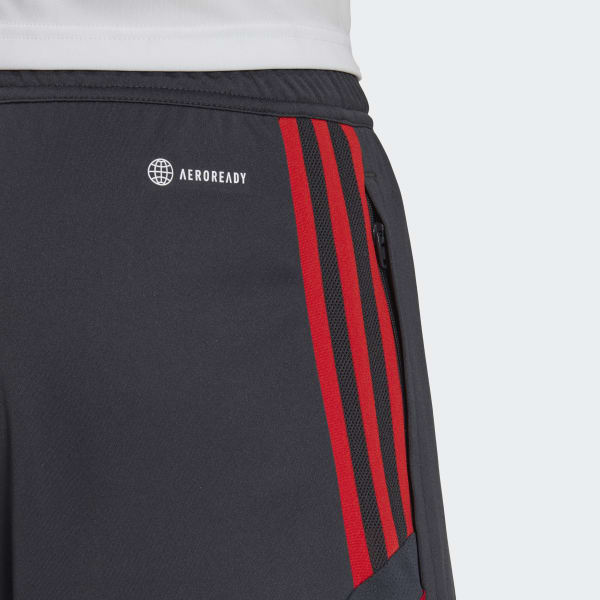 Grijs FC Bayern München Condivo 22 Training Short KO653