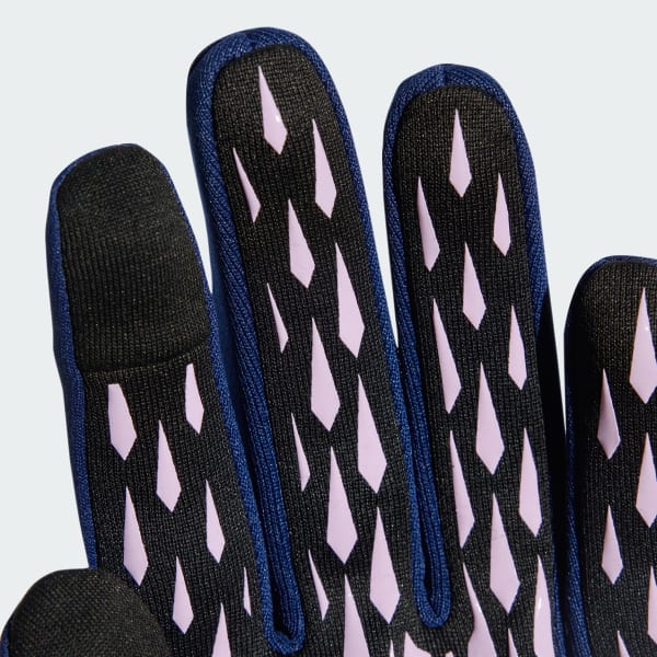 Azul Guantes jugador Francia