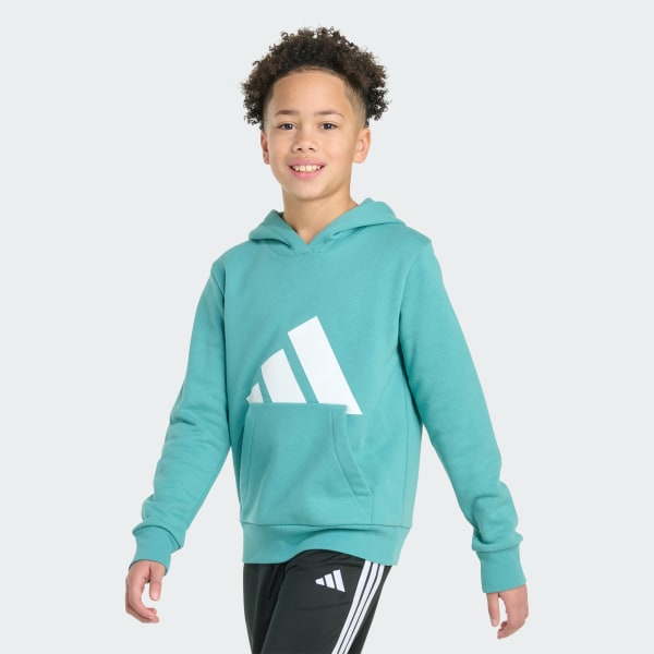 vert ESS FLC BIG LOGO HOODED PO