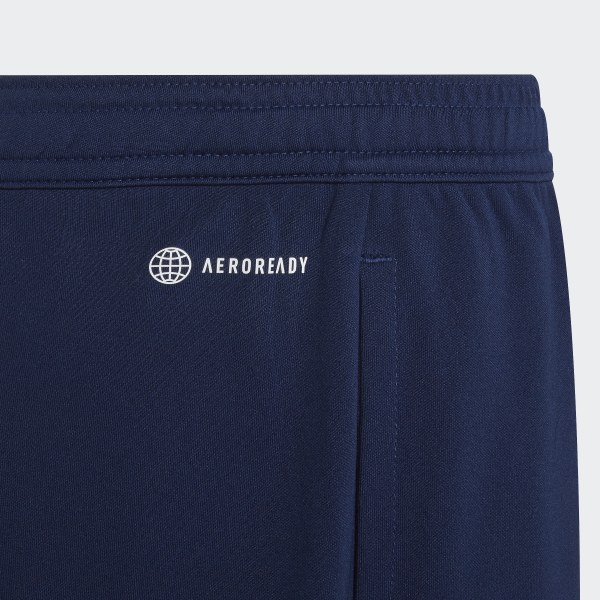 Niebieski Entrada 22 Training Shorts