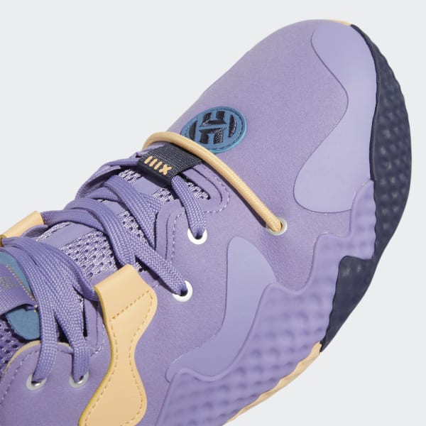 Anpassungsfähigkeit Kurs Radius basket shoes harden violet Buße Kabine ...