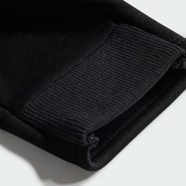 Schwarz Terrex GORE-TEX Windstopper Handschuhe