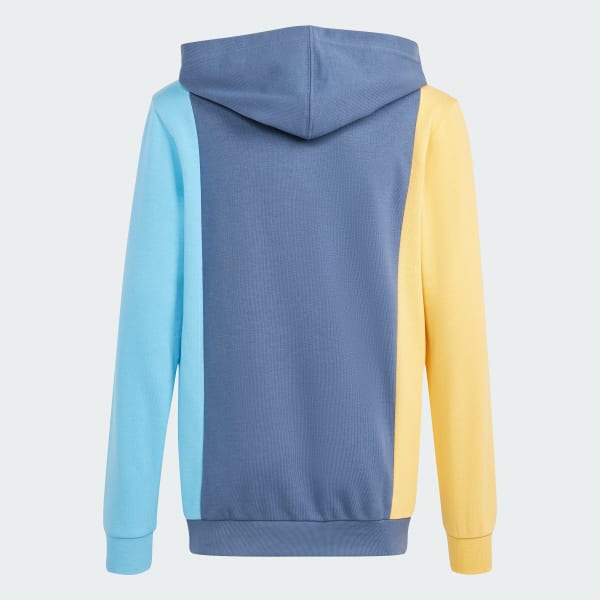 Essentials Colorblock Hoodie Kids