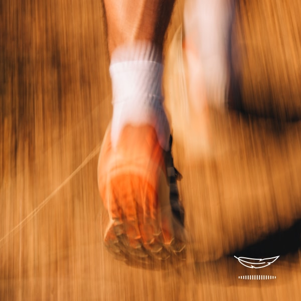 Đen Giày Chạy Trail Terrex Agravic Speed