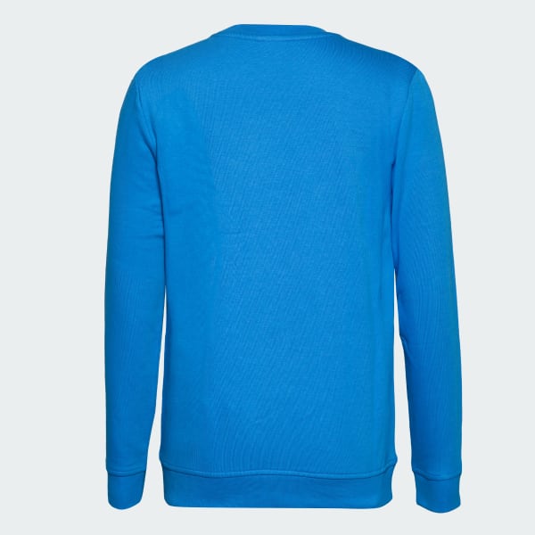 Blue Full Sleeve Sweatshirt