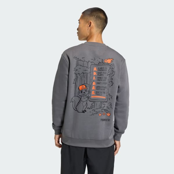 Grey TERREX TRAIL RULES GRAPHIC CREW Sweatshirt