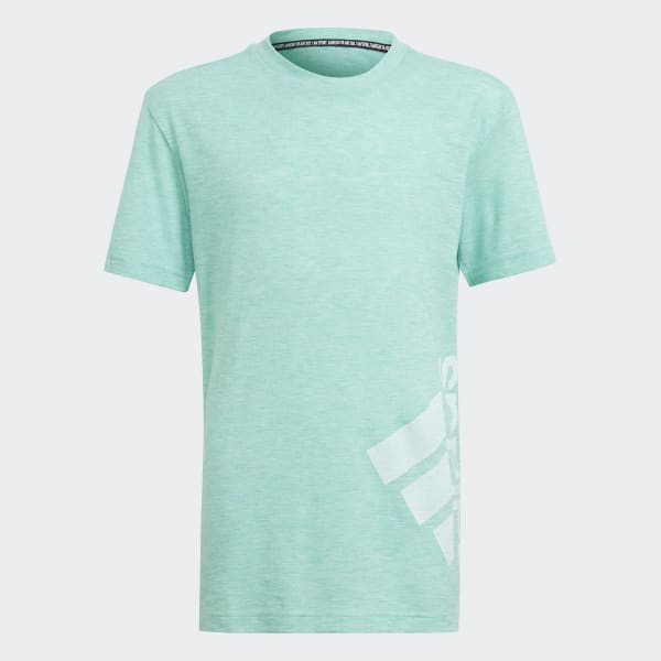 Verde Polo Badge of Sport Summer