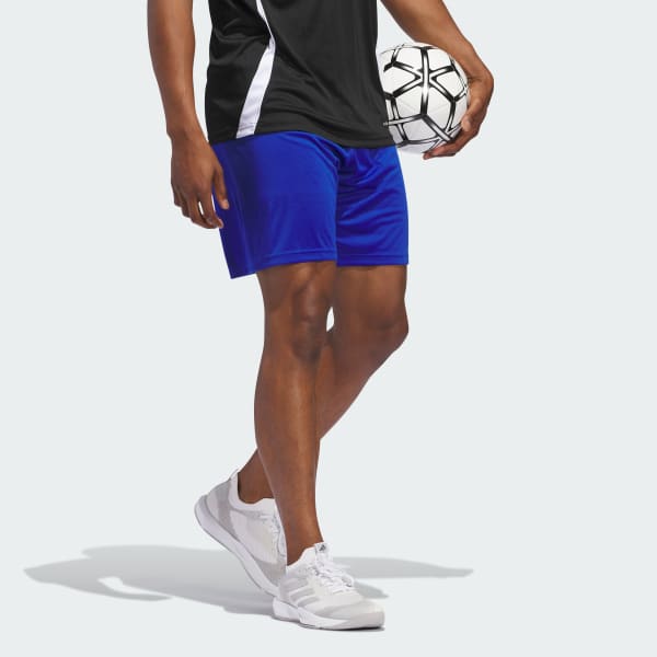 Blue Fortore 23 Shorts