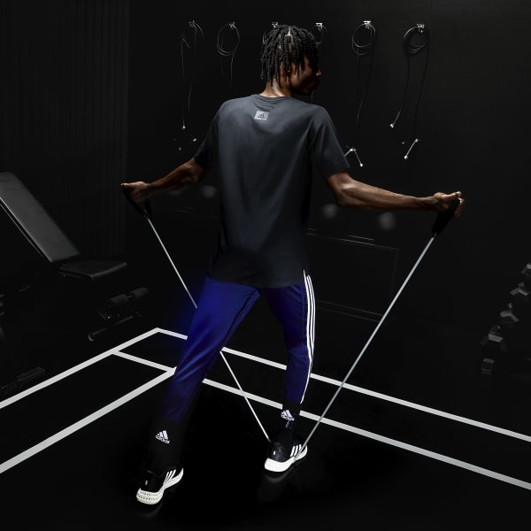 modrá Tepláky Best of adidas Training